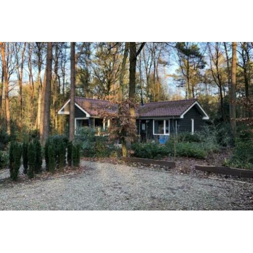 5 persoons huisje te huur in het bos (Lochem/Zutphen)