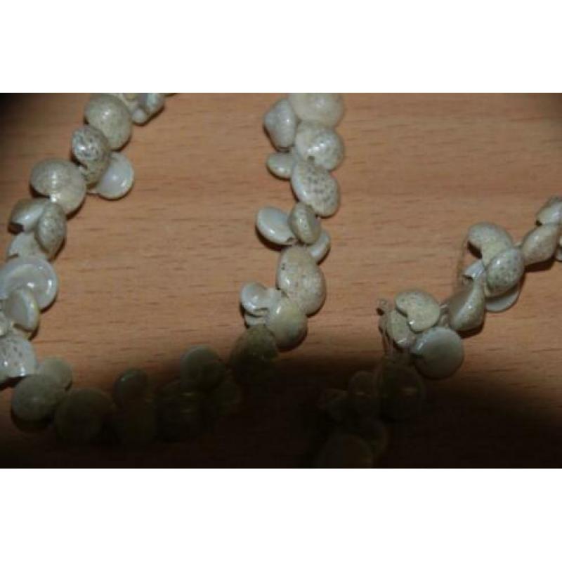 Ketting schelpen wit ( kleinste schelpen).