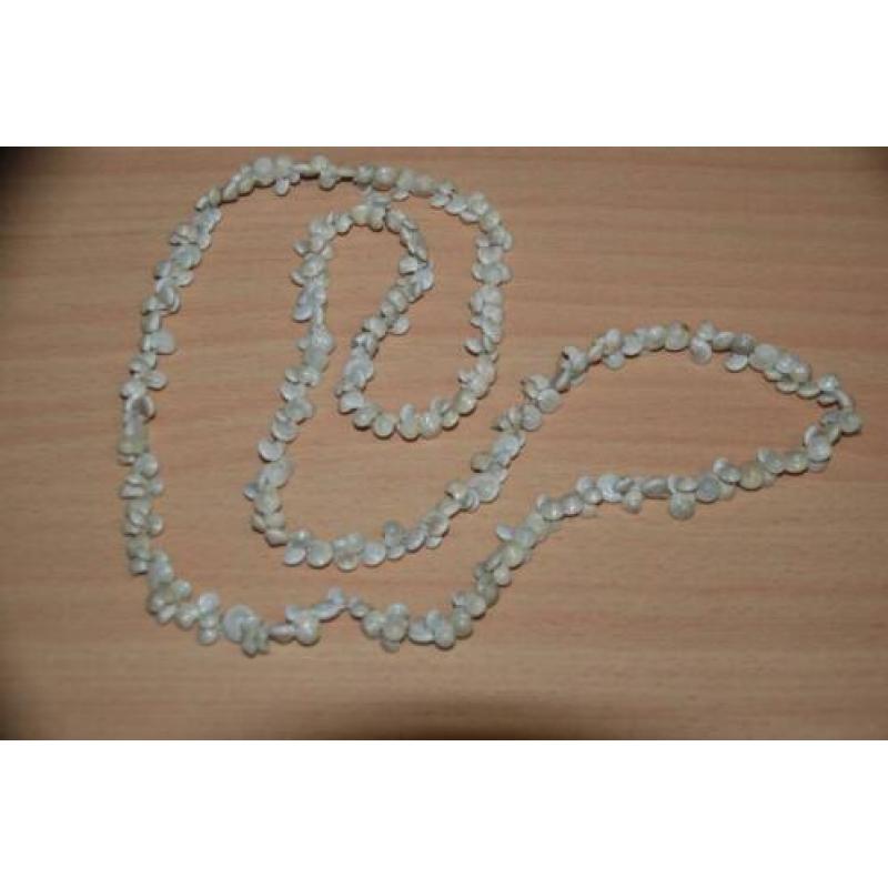 Ketting schelpen wit ( kleinste schelpen).