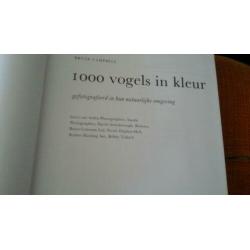 1000 Vogels in kleur