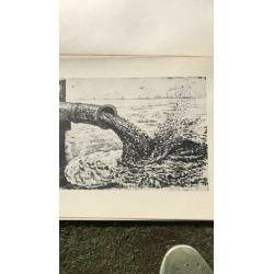 Dirk Nijland prints