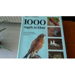 1000 Vogels in kleur