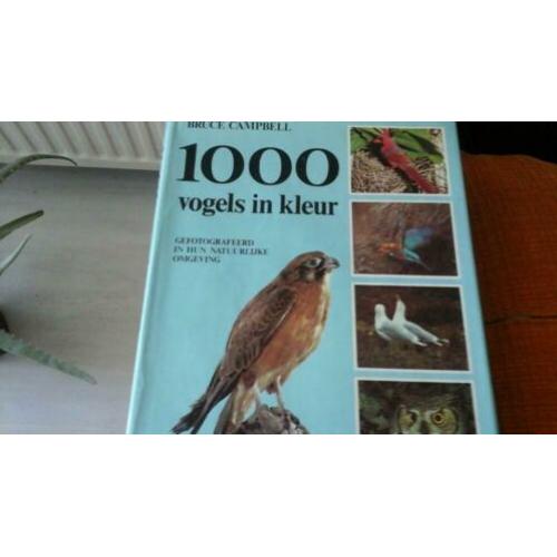 1000 Vogels in kleur