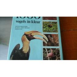 1000 Vogels in kleur