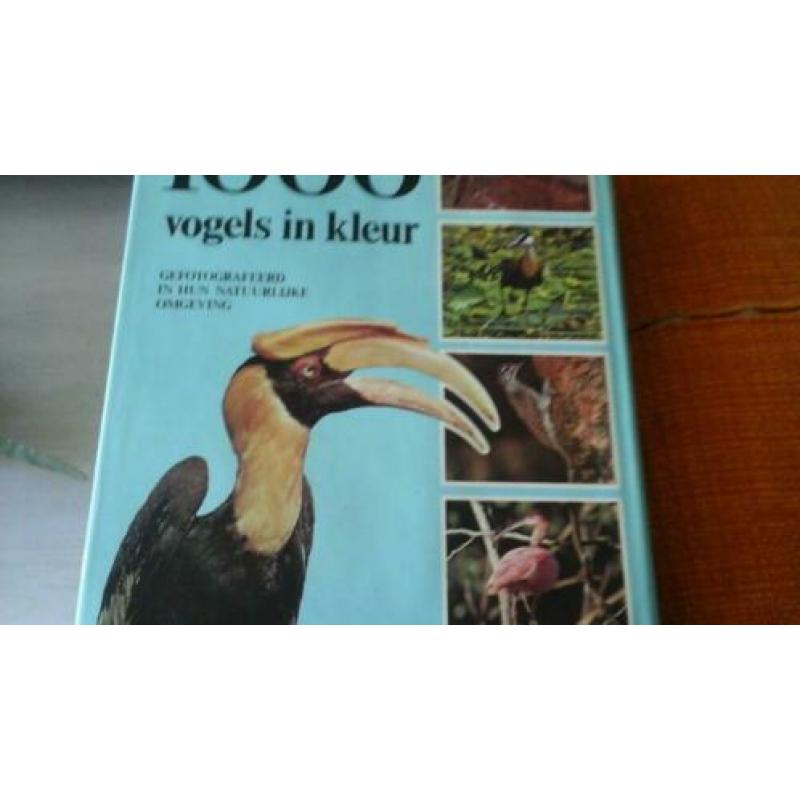 1000 Vogels in kleur