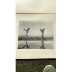Dirk Nijland prints