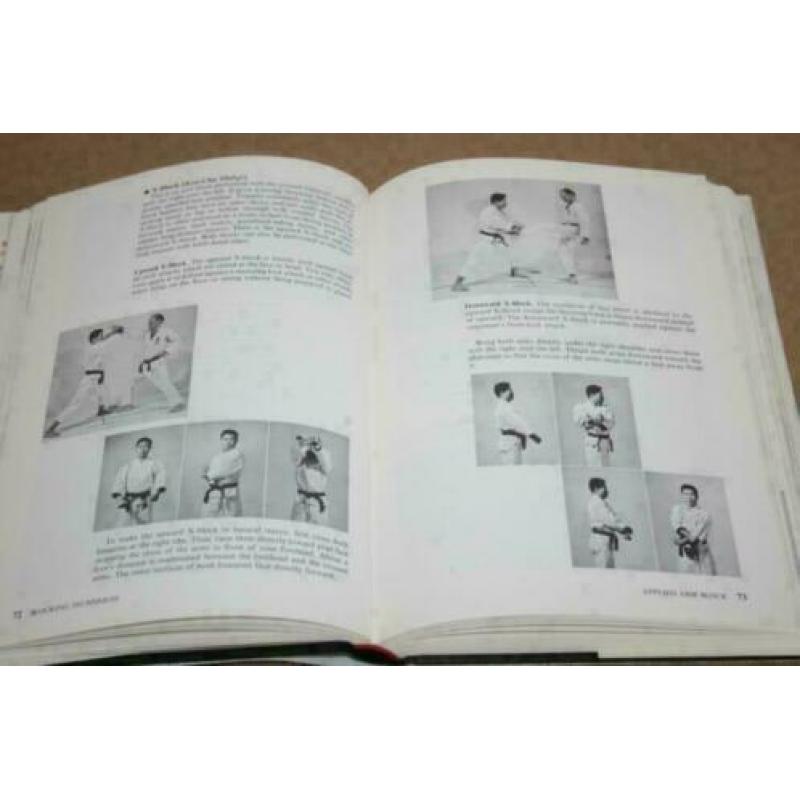 Boek - Korean Karate - Free Fighting Techniques !!