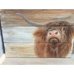 Musjes en Schotse hooglander op hout