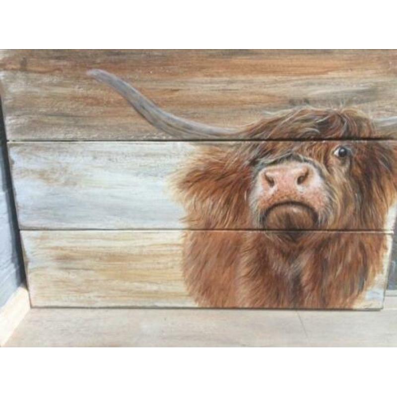 Musjes en Schotse hooglander op hout