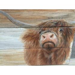 Musjes en Schotse hooglander op hout