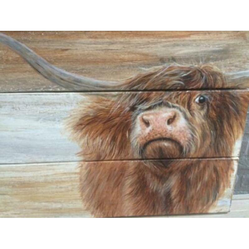 Musjes en Schotse hooglander op hout