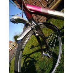 Gazelle Carbon lichtgewicht dames/meisjesfiets H53