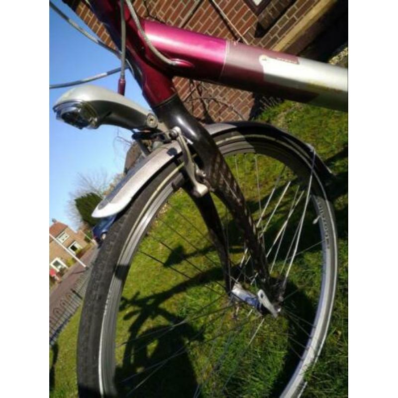 Gazelle Carbon lichtgewicht dames/meisjesfiets H53