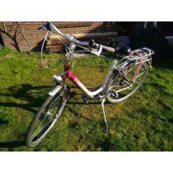 Gazelle Carbon lichtgewicht dames/meisjesfiets H53