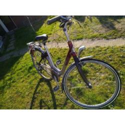 Gazelle Carbon lichtgewicht dames/meisjesfiets H53