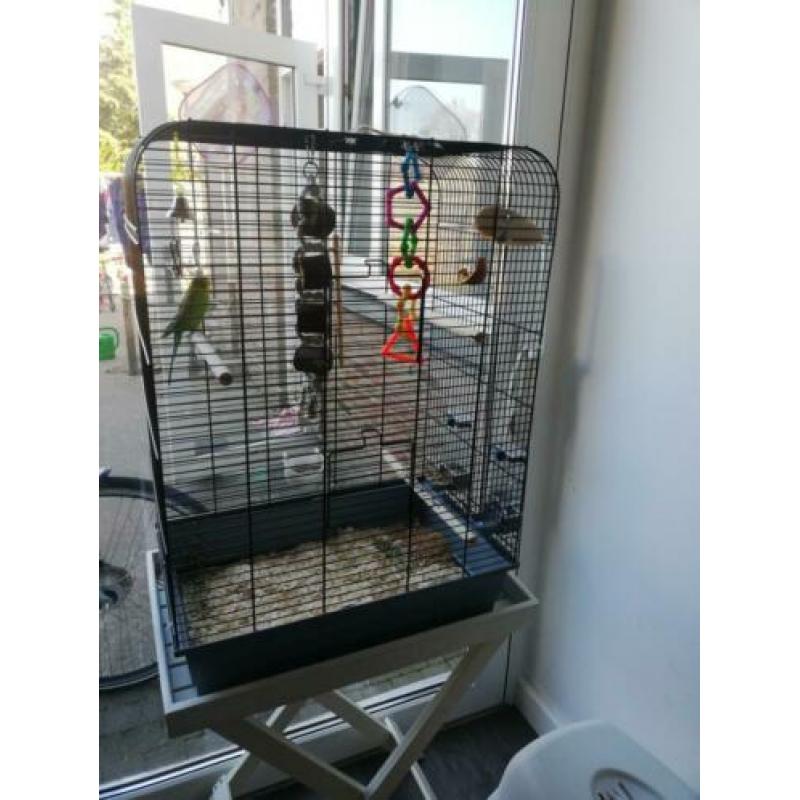 Gratis Groene Grasparkiet + Kooi