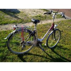 Gazelle Carbon lichtgewicht dames/meisjesfiets H53