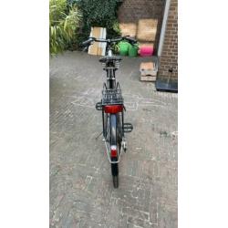 Raleigh limited editon