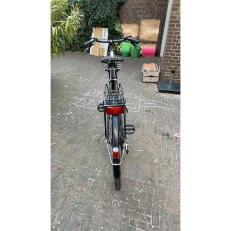 Raleigh limited editon