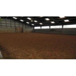 Paardenstalling met dagelijkse weidegang in Twekkelo!