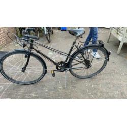 Raleigh limited editon