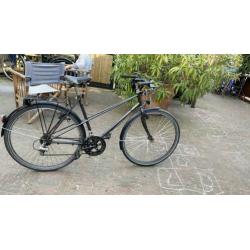 Raleigh limited editon
