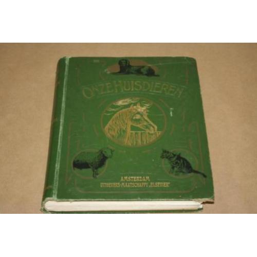 Dikke pil - Onze Huisdieren - met kleurenlitho's - 1905 !!