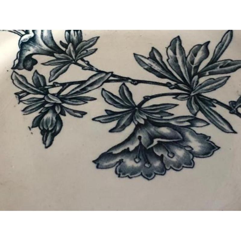Frans bordje van St Amand decor Flore in blauw