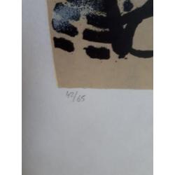 Herman brood