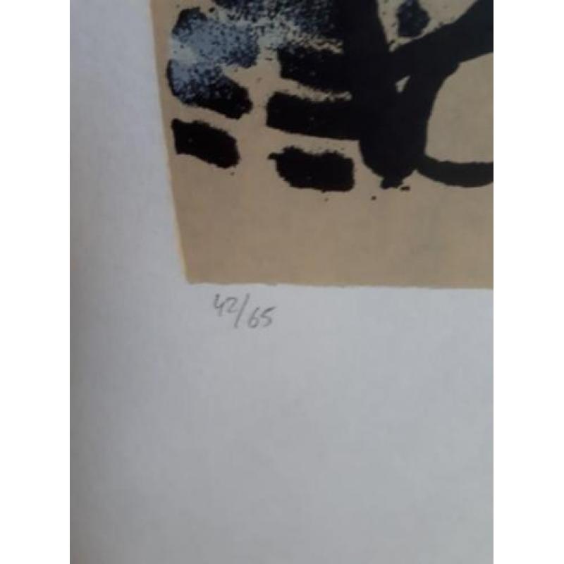 Herman brood