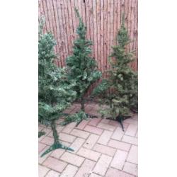 5 Kerstbomen. Ca.120 hoog.