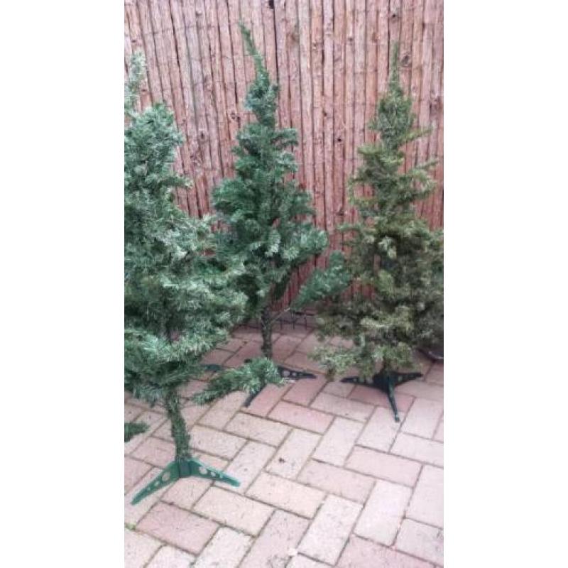 5 Kerstbomen. Ca.120 hoog.