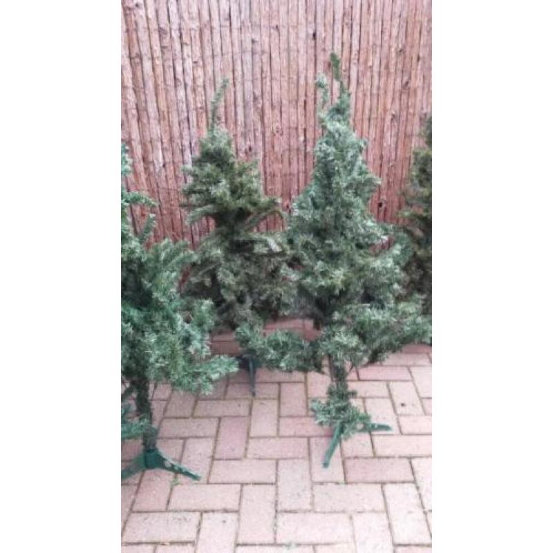 5 Kerstbomen. Ca.120 hoog.