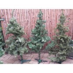5 Kerstbomen. Ca.120 hoog.