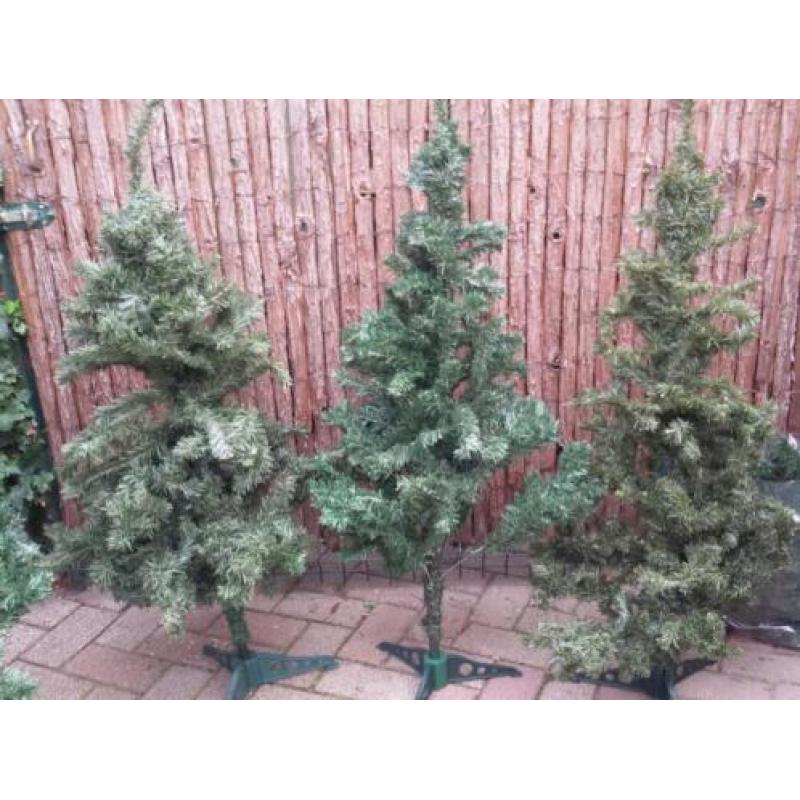5 Kerstbomen. Ca.120 hoog.