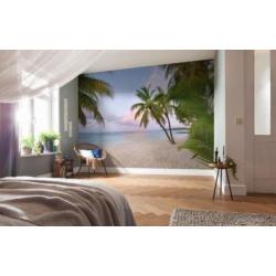 Strand in de Morgen Vliesbehang 368×248 Fotobehang Palm