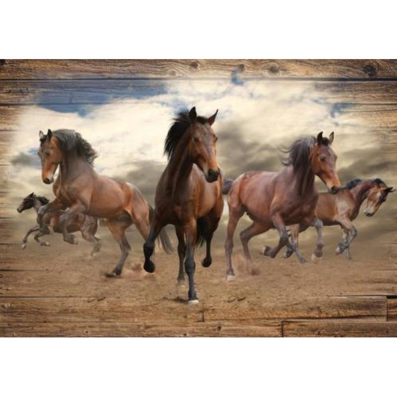 Wilde paarden fotobehang XL Paarden VLIESbehang