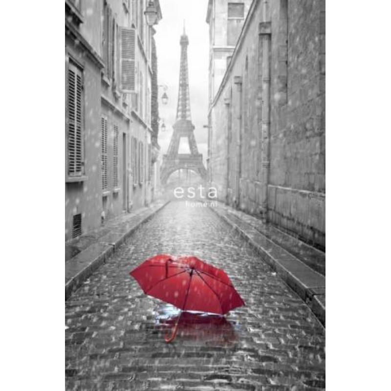 Esta Fab behang Paris,cameras, ,GreenHouse