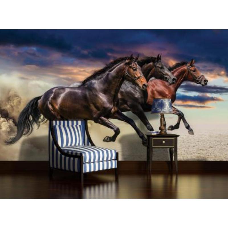Wilde paarden fotobehang XL Paarden VLIESbehang