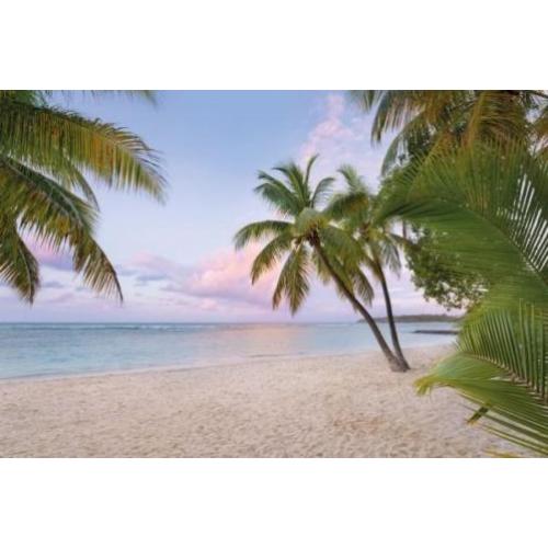 Strand in de Morgen Vliesbehang 368×248 Fotobehang Palm