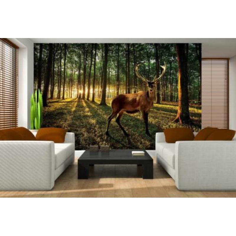 FOTOBEHANG HET BOS, VLIES, 3 BANEN, 312 x 219 cm