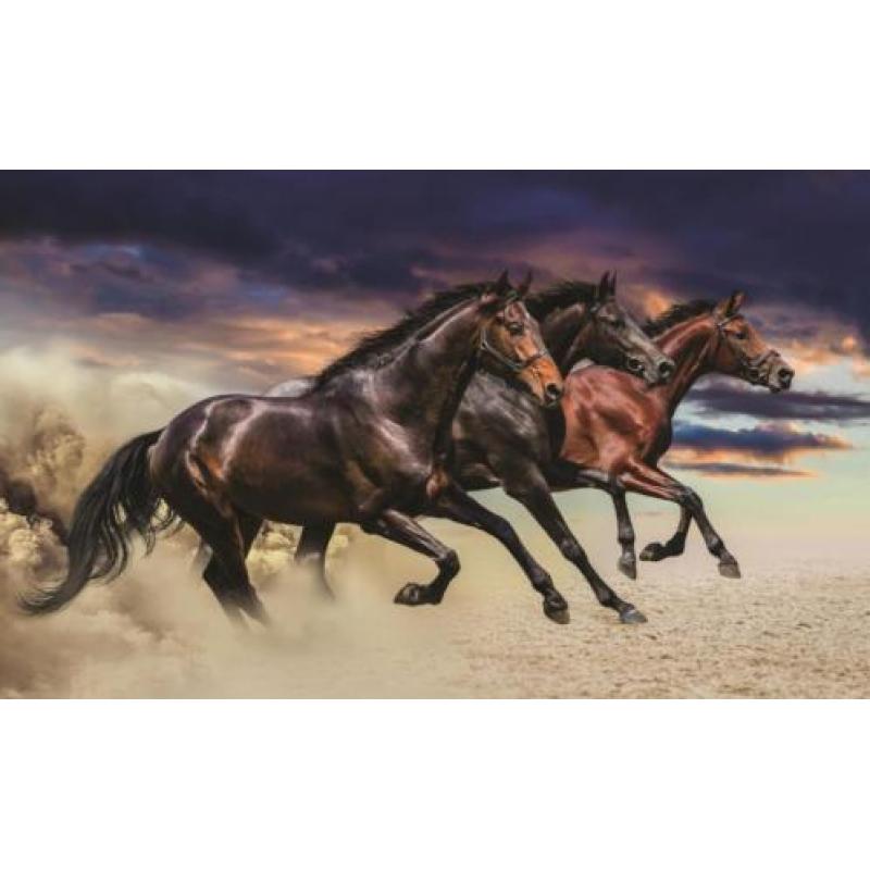 Wilde paarden fotobehang XL Paarden VLIESbehang