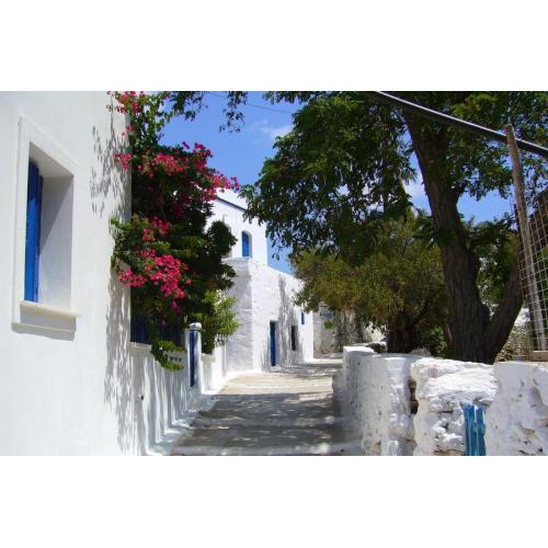 22-daagse reis Athene - Andros - Tinos - Paros - Amorgos - Naxos - Santorini
